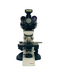 Microscopio Lx300 C/ Camara 5Mp Labomed ID-1952622