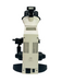 Microscopio Digital Cxl Led Con Camara 5Mp Labomed ID-1944526