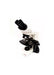 Microscopio Binocular Cxl Halogeno Labomed ID-2934609